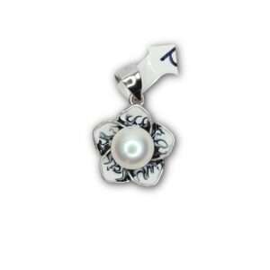 Enamel, (CODE: VSNCGLS016), women Locket, 925 Silver.